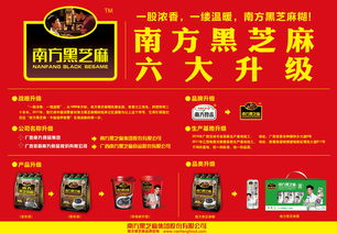 跨界之光 从设计到软件开发的学习之旅